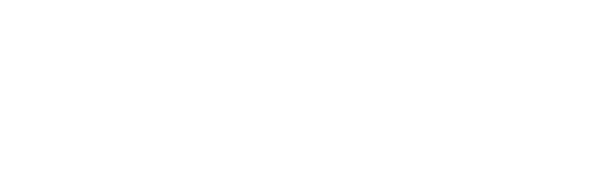 Twin Paradox