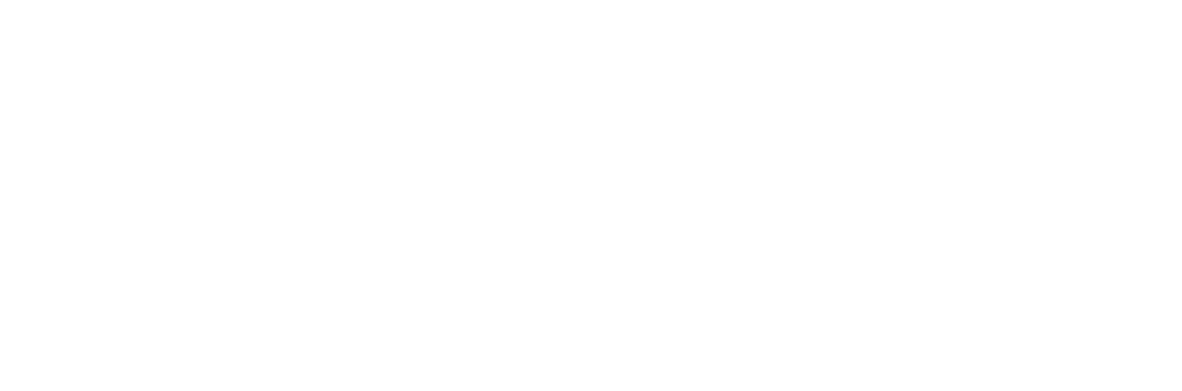 Twin Paradox Logo